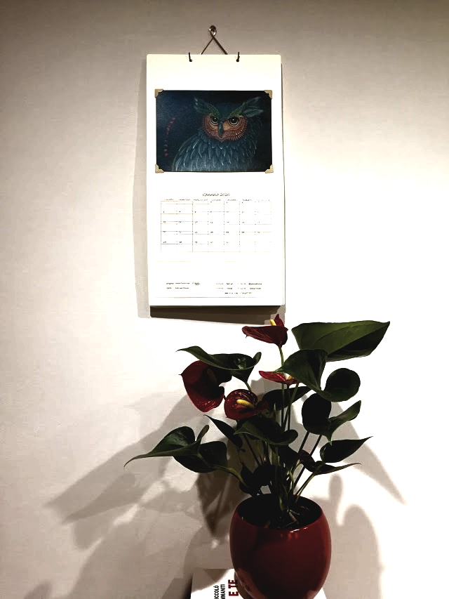 calendario 2020 Sabrina Paiola