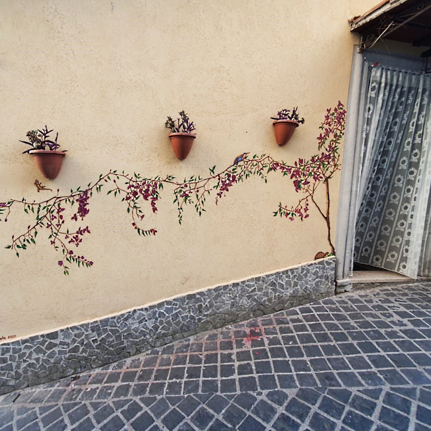 Murale Esterno Bouganvillea