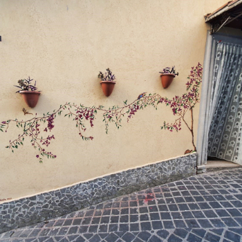 Murale Bouganvillea