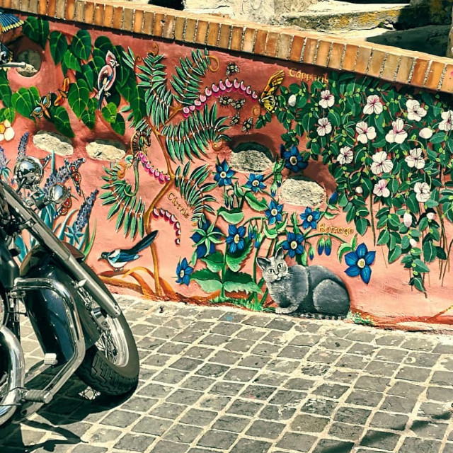 Murale Flora e Fauna