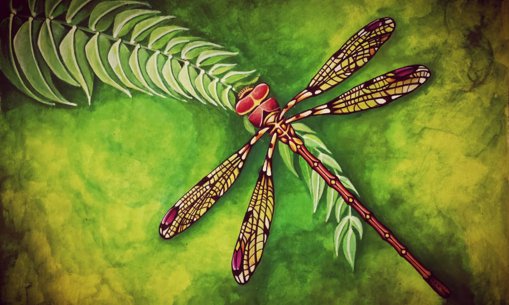 Libellula Sabrina Paiola